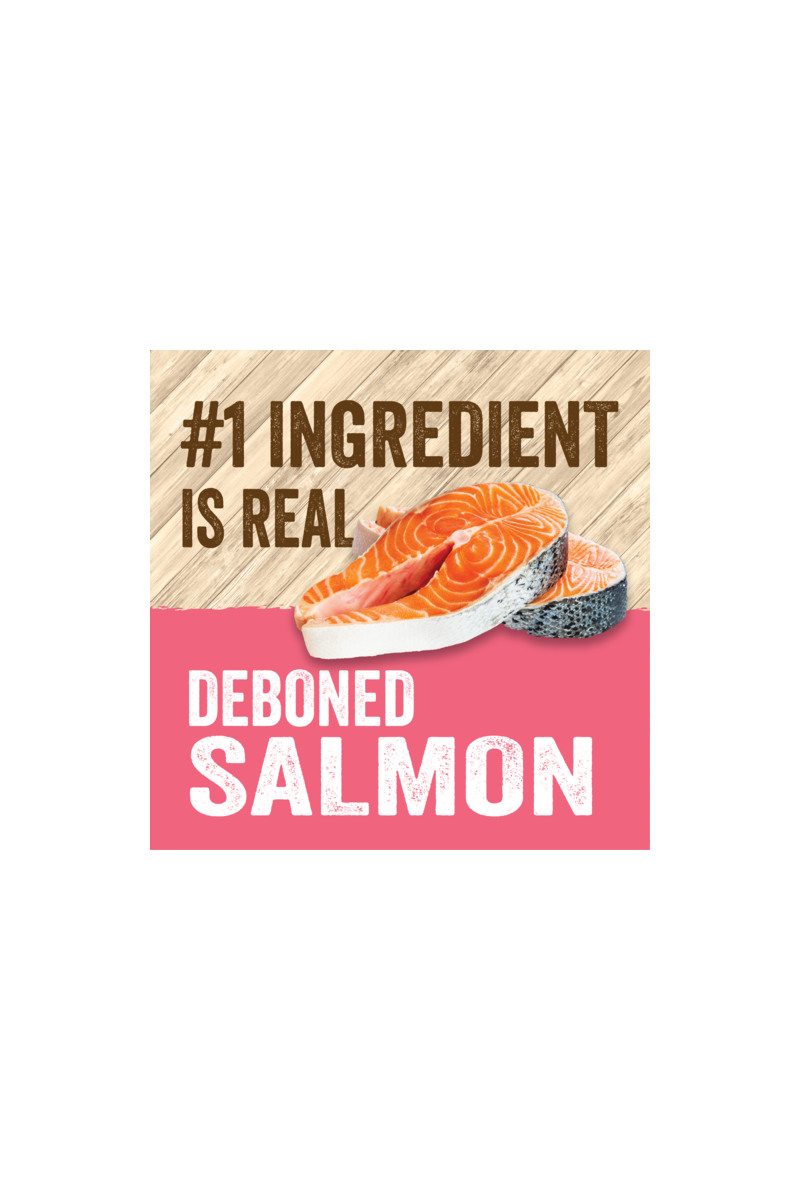 Evolve cat classic salmón
