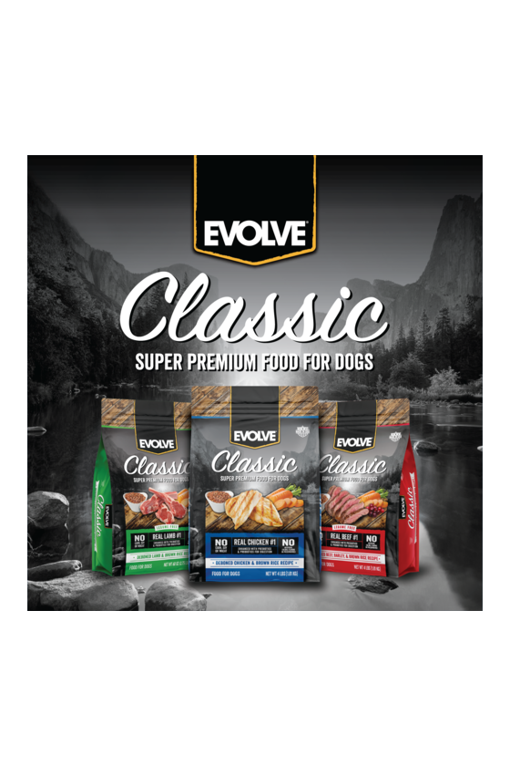 Evolve dog classic beef - carne