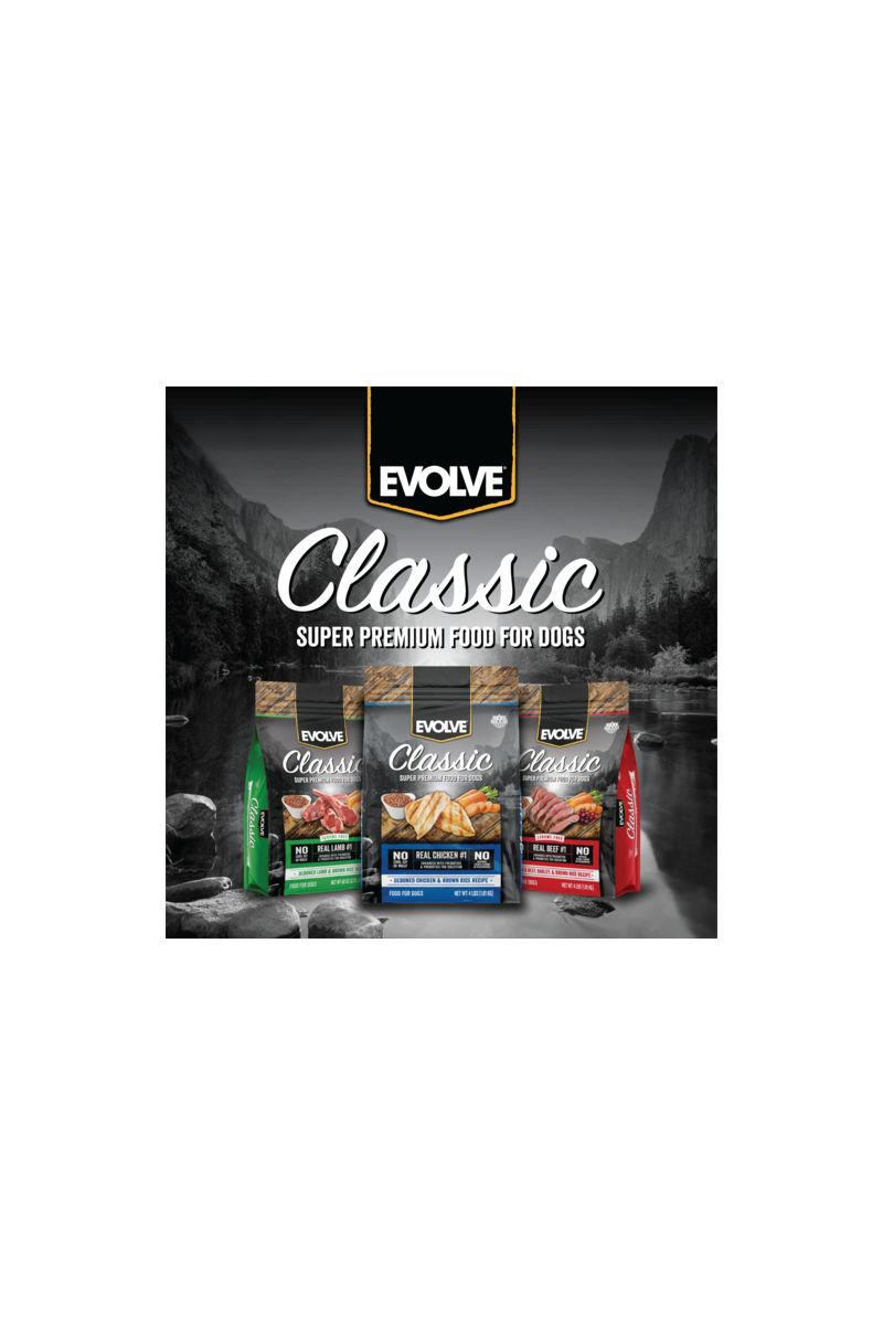 Evolve dog classic beef - carne