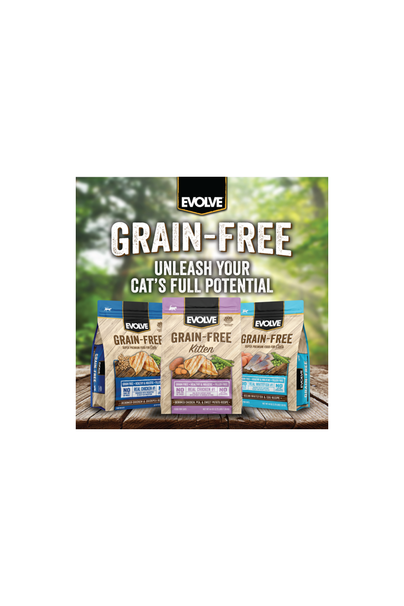 Evolve cat grain free kitten