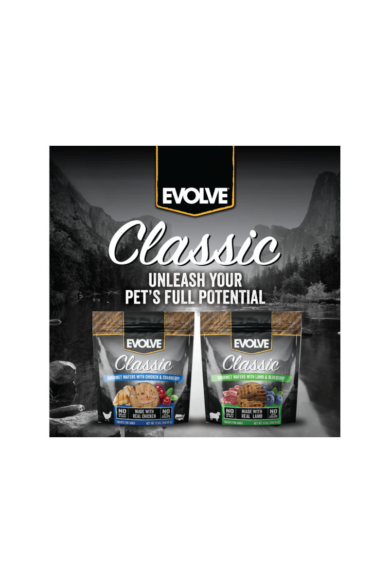 Evolve dog snack classic wafers al horno chicken pollo