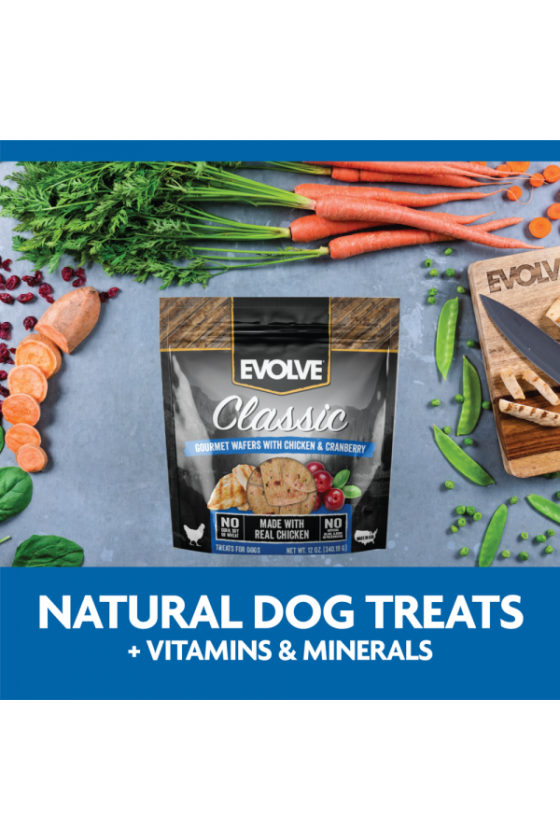 Evolve dog snack classic wafers al horno chicken pollo