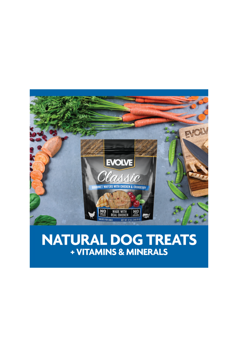 Evolve dog snack classic wafers al horno chicken pollo