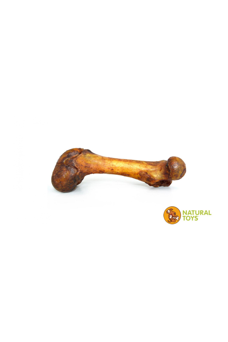 FEMUR CERDO, Hueso Deshidratado de Cerdo