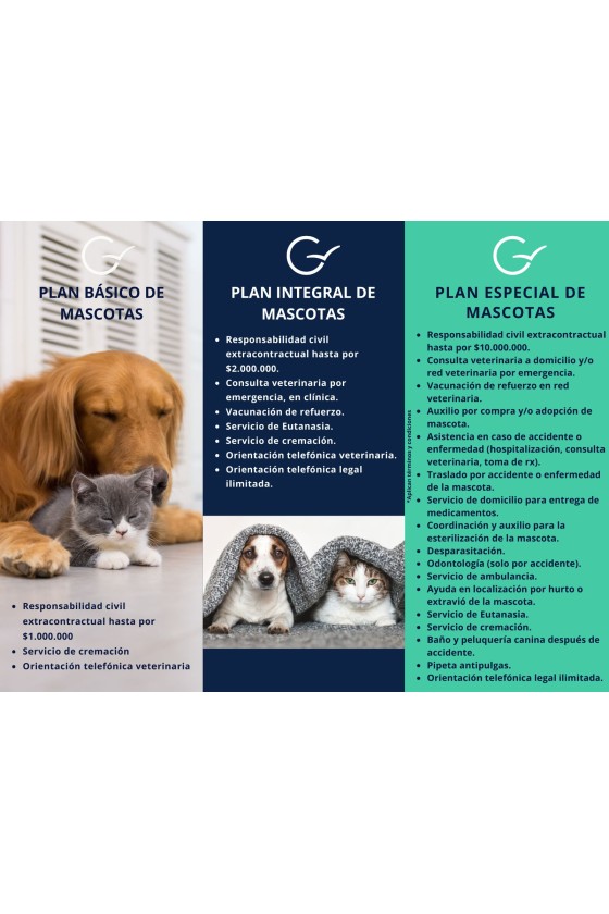 Plan Prevenir Mascotas