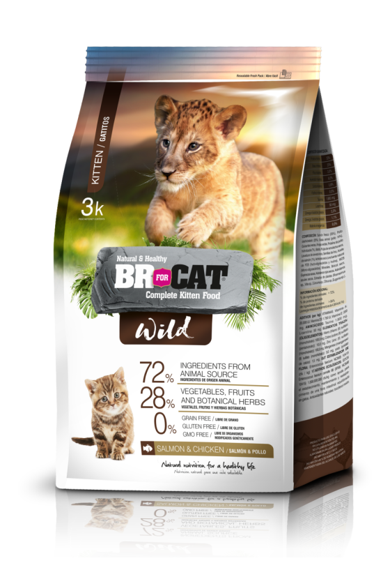 Br For Cat Wild Kitten