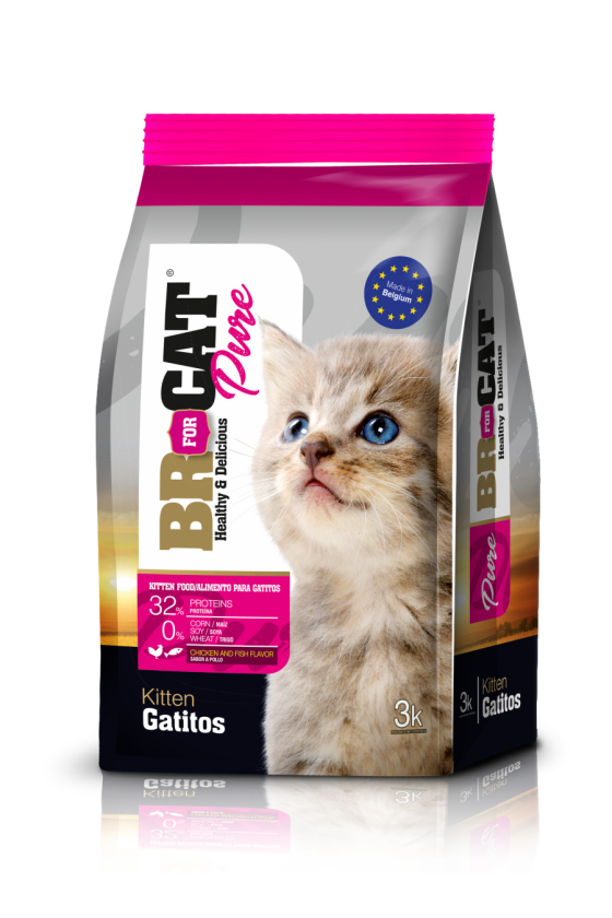 Br For Cat Pure Gatitos