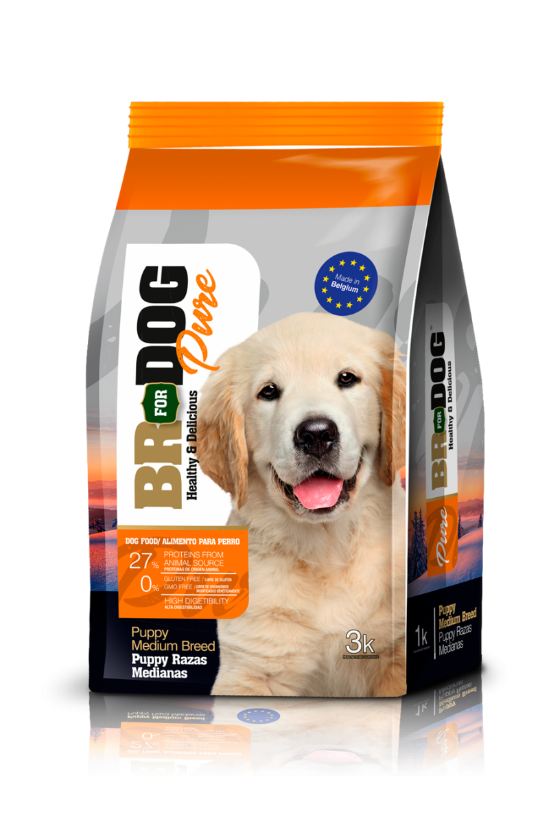 BR FOR Dog Pure Puppy Razas Medianas