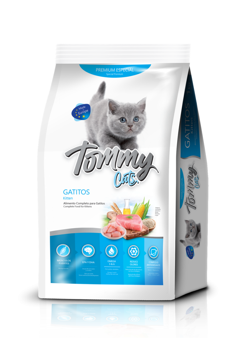 Tommy Cat Gatitos