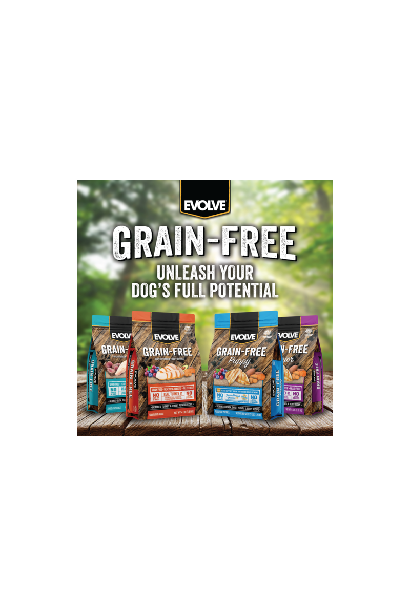 Evolve dog grain free salmón