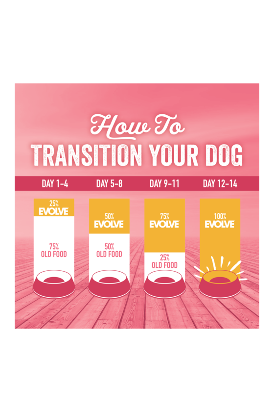 Evolve dog grain free salmón