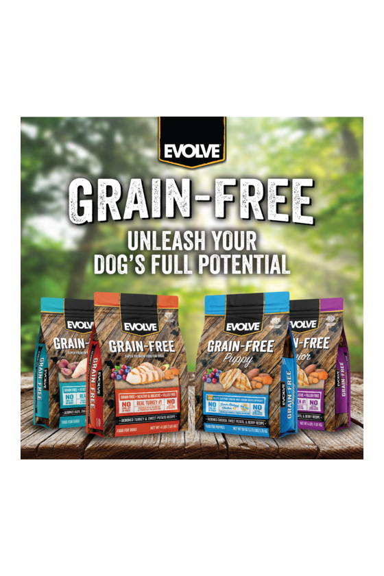 Evolve dog grain free senior chicken