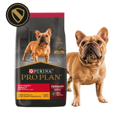 Adulto Razas Pequeñas