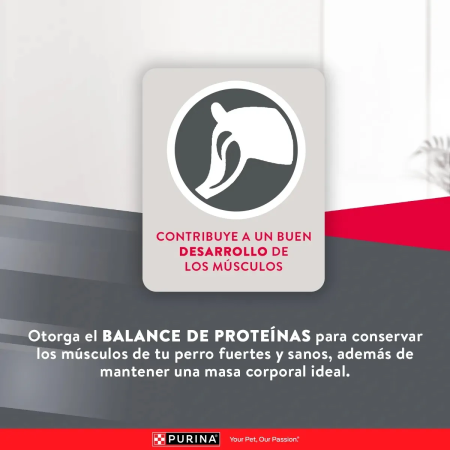 EXCELLENT ADULT Mantenimiento para perro adulto todos los tamaños